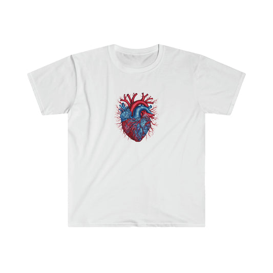 Blue and Red Anatomical Heart