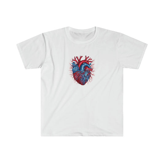 Blue and Red Anatomical Heart