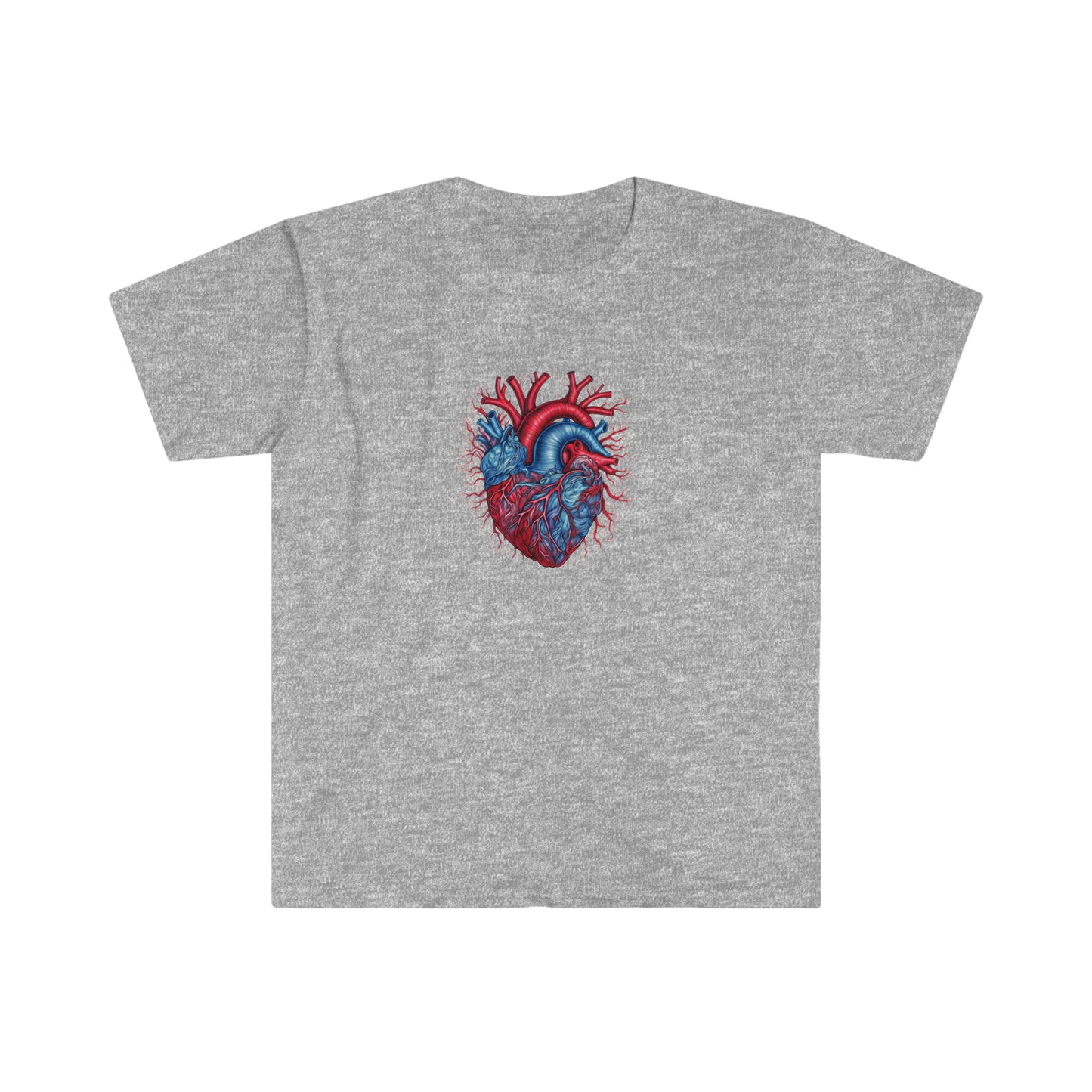 Blue and Red Anatomical Heart